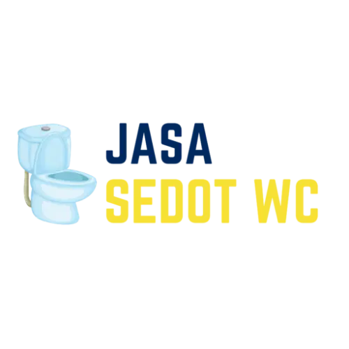 Sedot WC Mampet  di Kotawaringin Timur